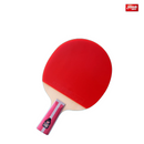 DHS 4006 Pre-assembled Table Tennis Racquet - Penhold